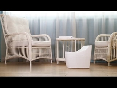 Modern Potty Training Baby Toilet