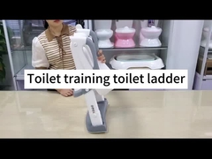 3 In 1 Potty Training Seat With Step Stool Ladder