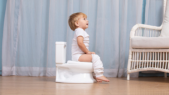 Safe and Eco Friendly Baby Potty Toilet Training Seat for E Commerce Stores